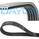 DAYCO  Ремень поликлиновой 